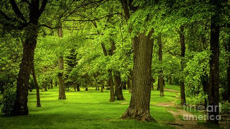 fraser grove winnipeg
